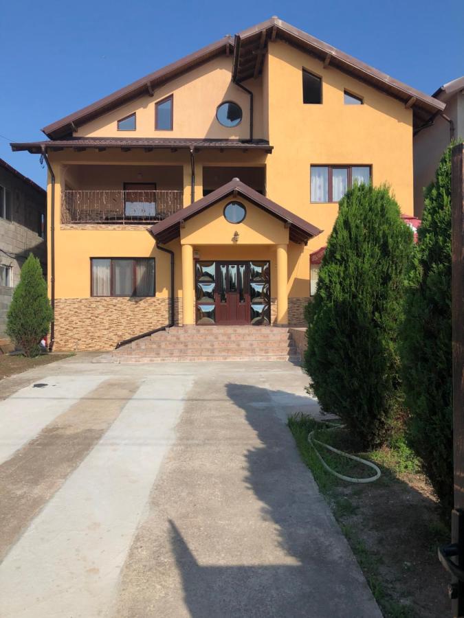 Отель Vila Antonia Костинешти Экстерьер фото